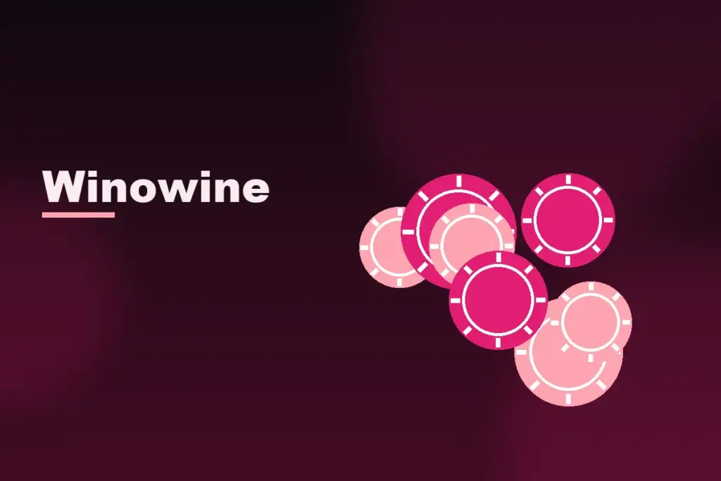 Winowine rehberi görseli